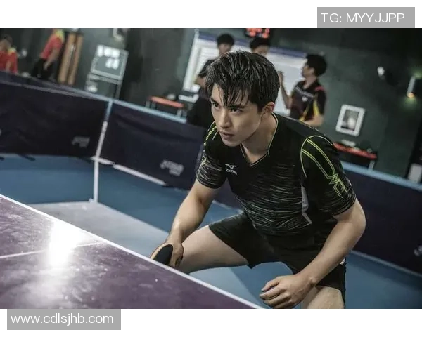 南京乒乓球队迎来反击革新之路全新策略助力争夺冠军荣耀