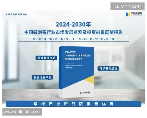 北京羽毛球队的控制革新与未来发展战略深度解析 北京羽毛球队的控制革新与未来发展战略深度解析
