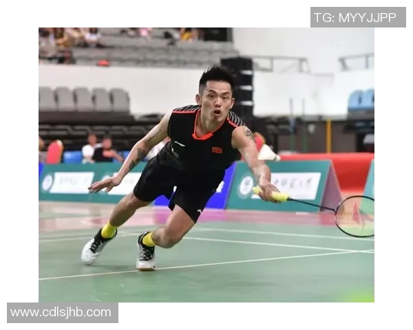 南京羽毛球队挑战赛个人能力分析与表现评估 南京羽毛球队挑战赛个人能力分析与表现评估