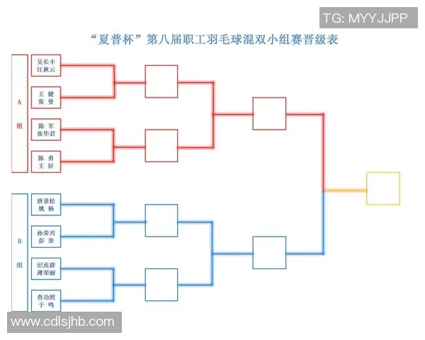 南京羽毛球队转型之路:从传统强队到现代化职业俱乐部的蜕变与挑战 南京羽毛球队转型之路:从传统强队到现代化职业俱乐部的蜕变与挑战