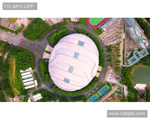 广州极限运动队运营体系探析与极限运动战术的创新实践